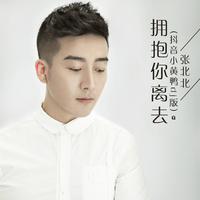 拥抱你离去舞曲