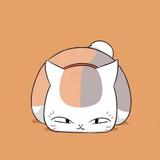 矜夕