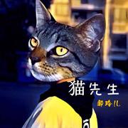 猫先生 (伴奏)