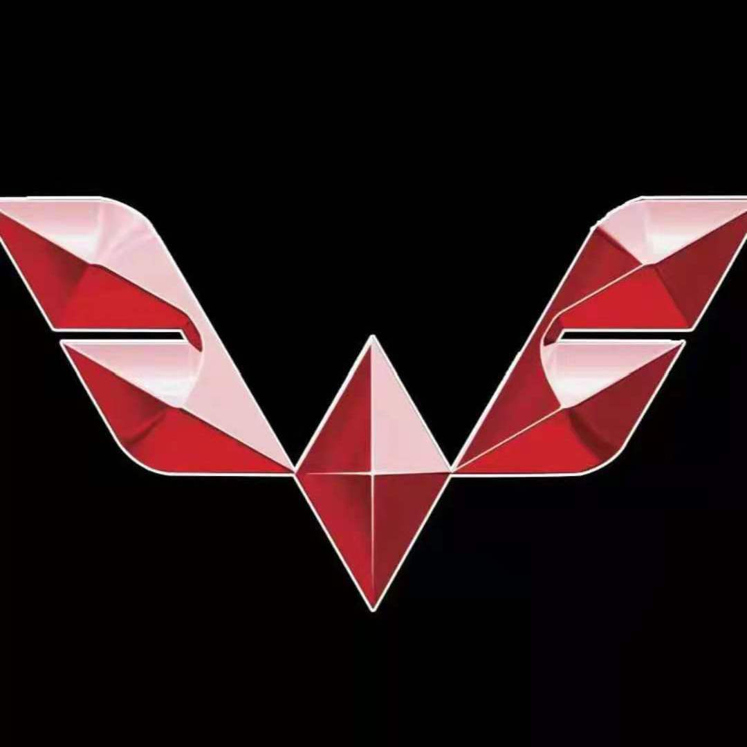 Mr.WuLingHongGuang（Mr.Lamborghini $watch remix）