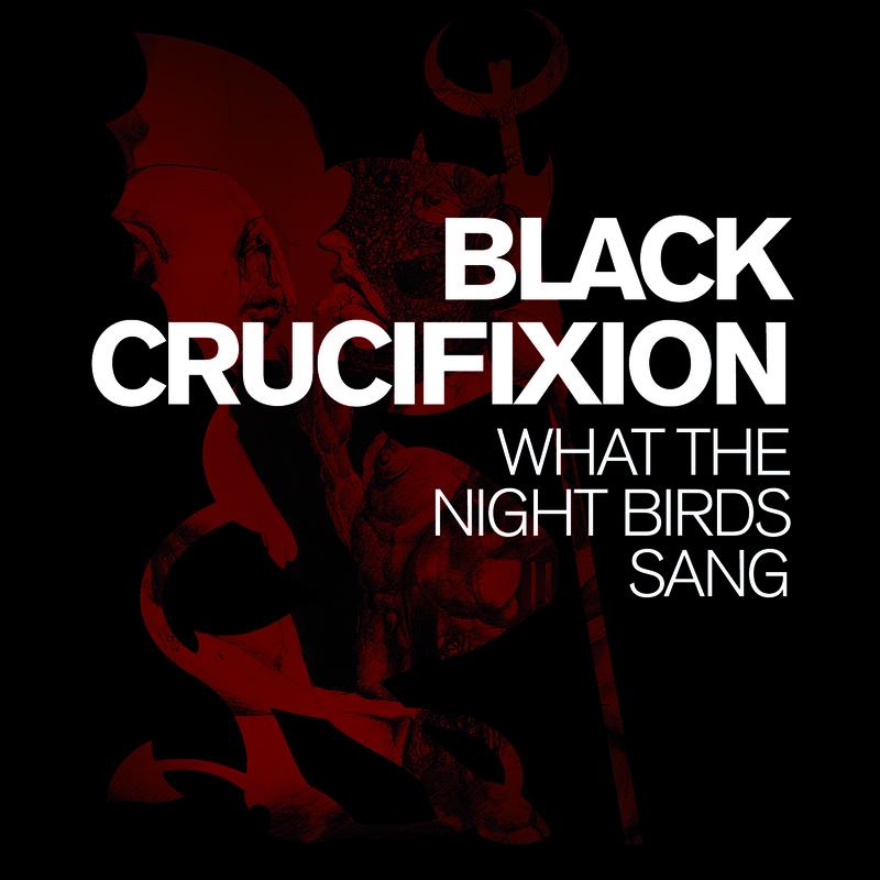 What The Night Birds Sang