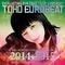 THE BEST OF TOHO EUROBEAT 2014-2015 -NON-STOP MEGA MIX by DJ BOSS专辑