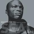 Waiting For You (12"/CD Maxi 42656)