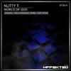Nutty T - World Of God (Hart Remix)