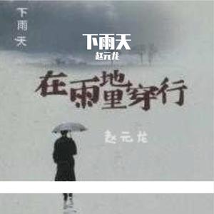 赵源龙 - 下雨天