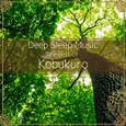 Deep Sleep Music - The Best of Kobukuro: Relaxing Music Box Covers