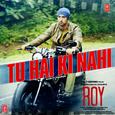 Tu Hai Ki Nahi (From "Roy")