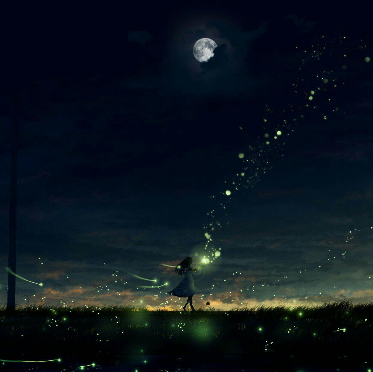 『纯音乐』夜、萤火虫和你