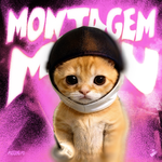 Montagem Miau