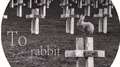 To Rabbit专辑