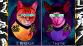 猫系男孩专辑