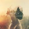 The Spill Canvas - Mercy