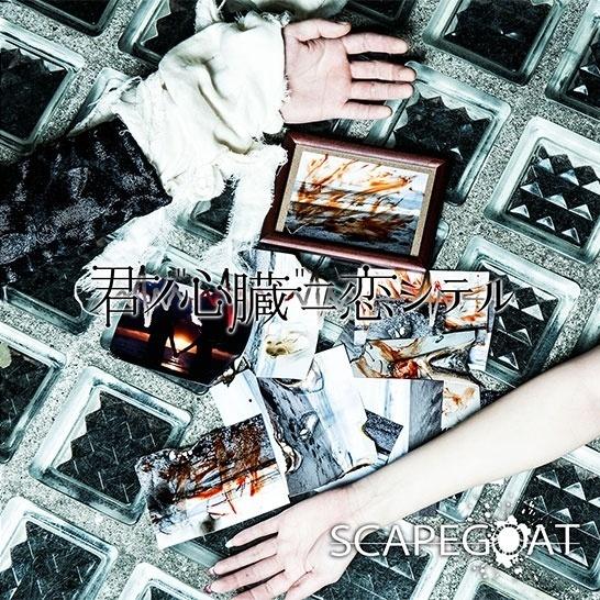 君ノ''心臓''ニ恋シテル ＜初回限定盤＞
