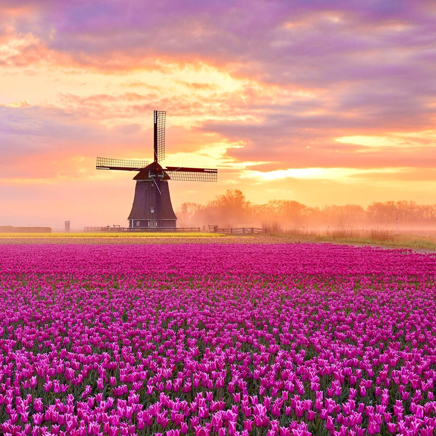 Sunset after rain (雨后夕阳)