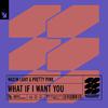 Maxim Lany - What If I Want You