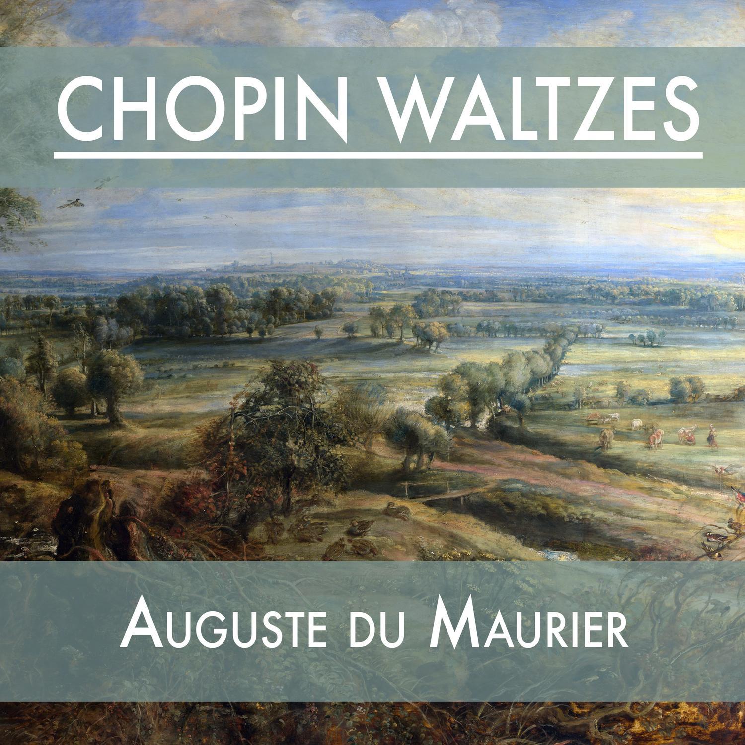 Chopin Waltzes专辑