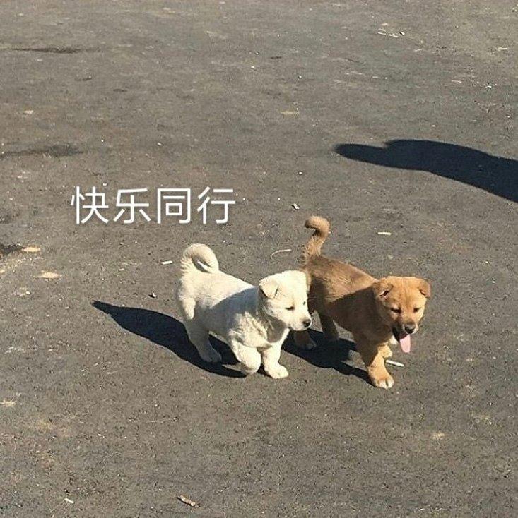 60后怀旧歌曲老歌