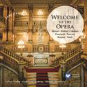 Welcome To The Opera (Inspiration)专辑