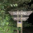 Duryard Pulse