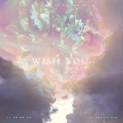 Wish You（翻自 KBShinya）