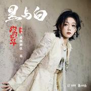 黑与白