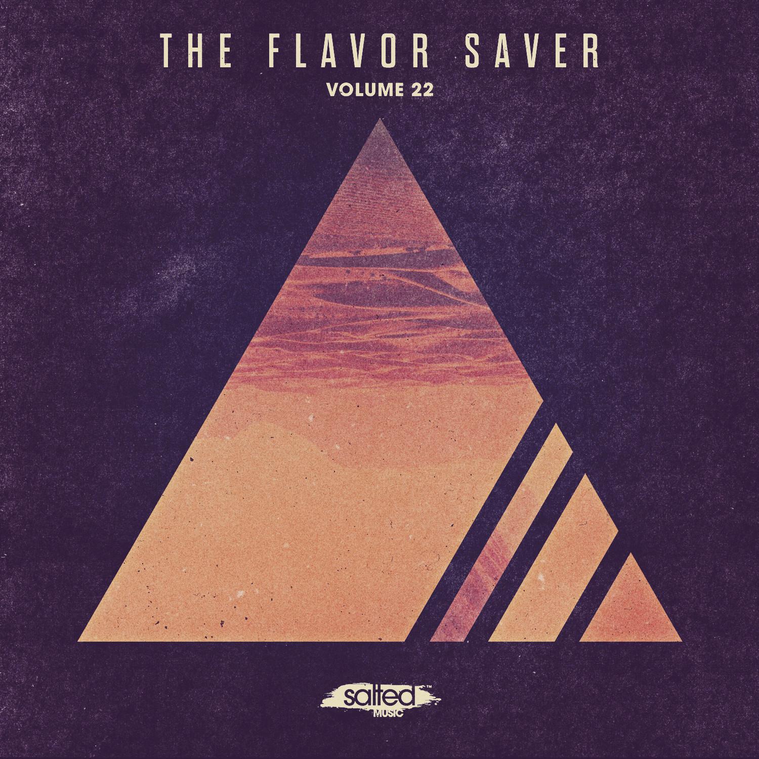 The Flavor Saver, Vol. 22专辑