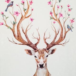 「 大概因为我是双子座 」