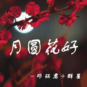 杨小萍 - 月下寄情(原版伴奏)