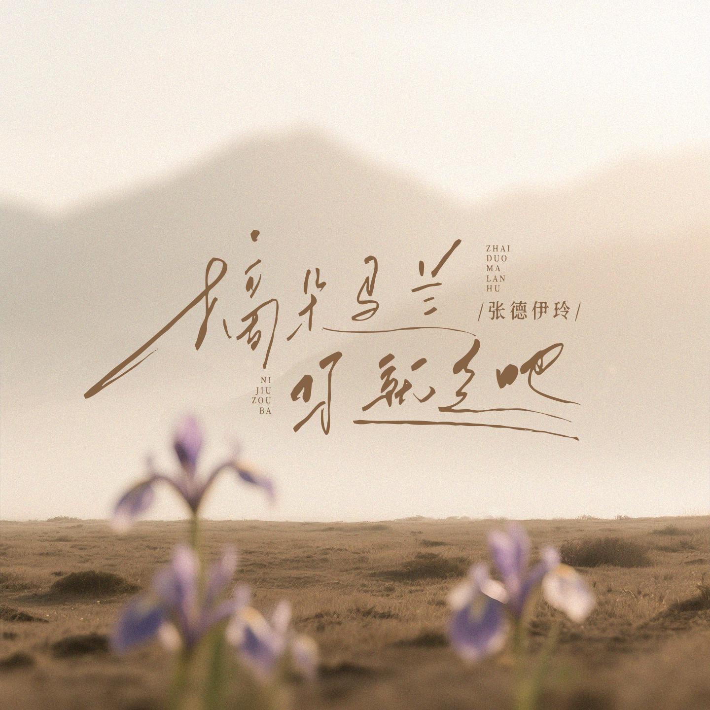 摘朵马兰你就走吧 （抒怀版）专辑