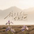 摘朵马兰你就走吧 （抒怀版）