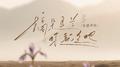 摘朵马兰你就走吧 （抒怀版）专辑