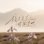 摘朵马兰你就走吧 （抒怀版）专辑