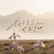 摘朵马兰你就走吧 （抒怀版）