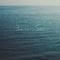 Ocean Dream(Heart Break)专辑