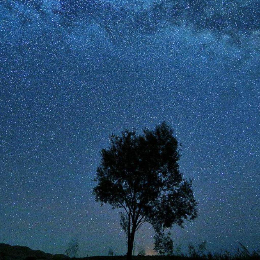 轻快动感纯音乐