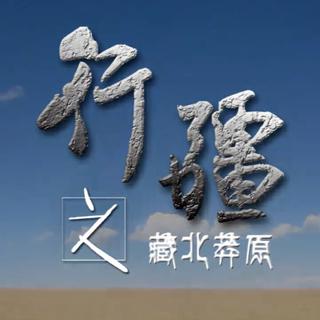 行疆（第三季）背景音乐