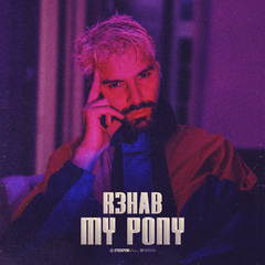 R3HAB《My Pony吉他谱》D调_音符美得令人陶醉