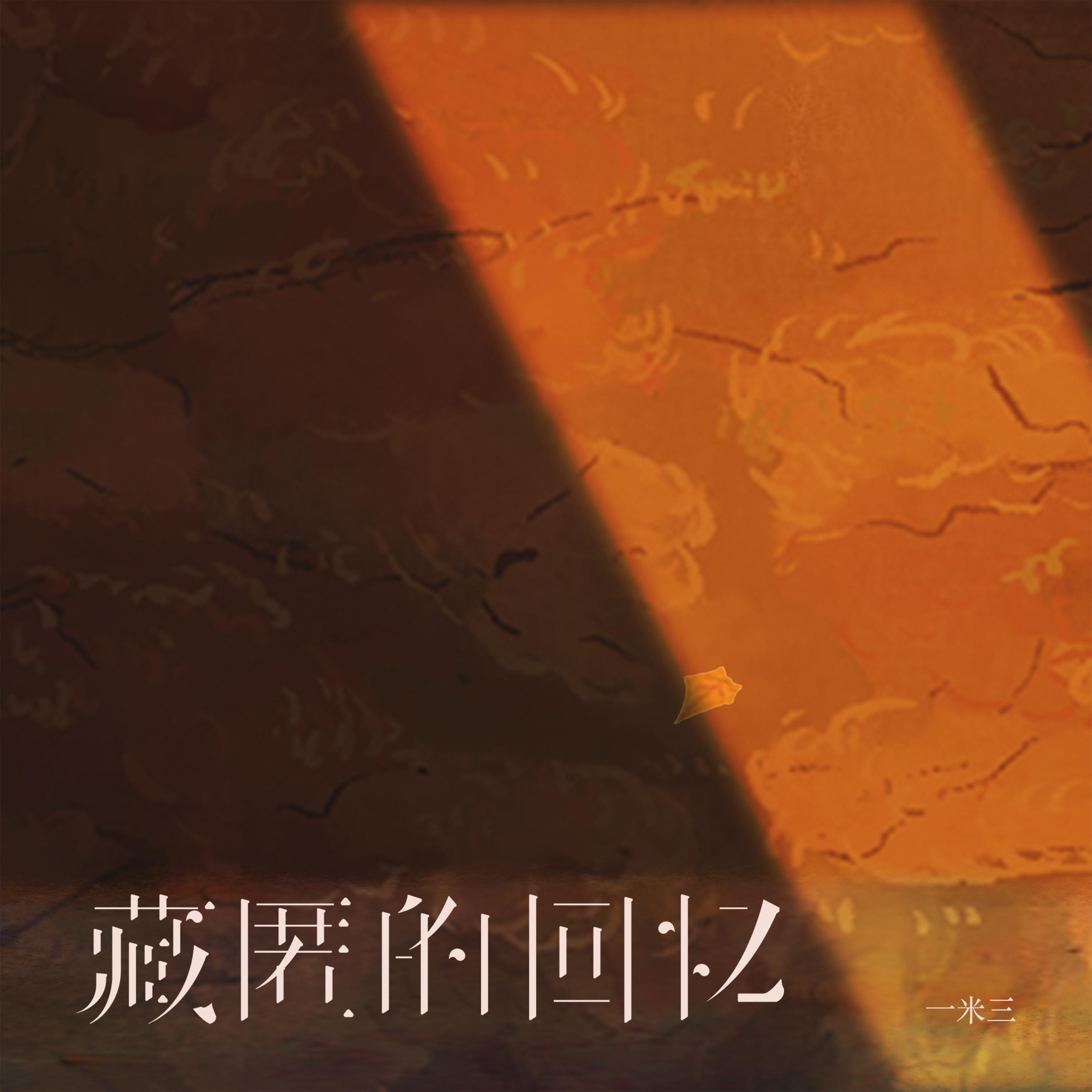 藏匿的回忆 (DJHZ版)