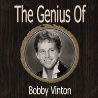 Vinton Bobby - Mr. Lonely (karaoke)