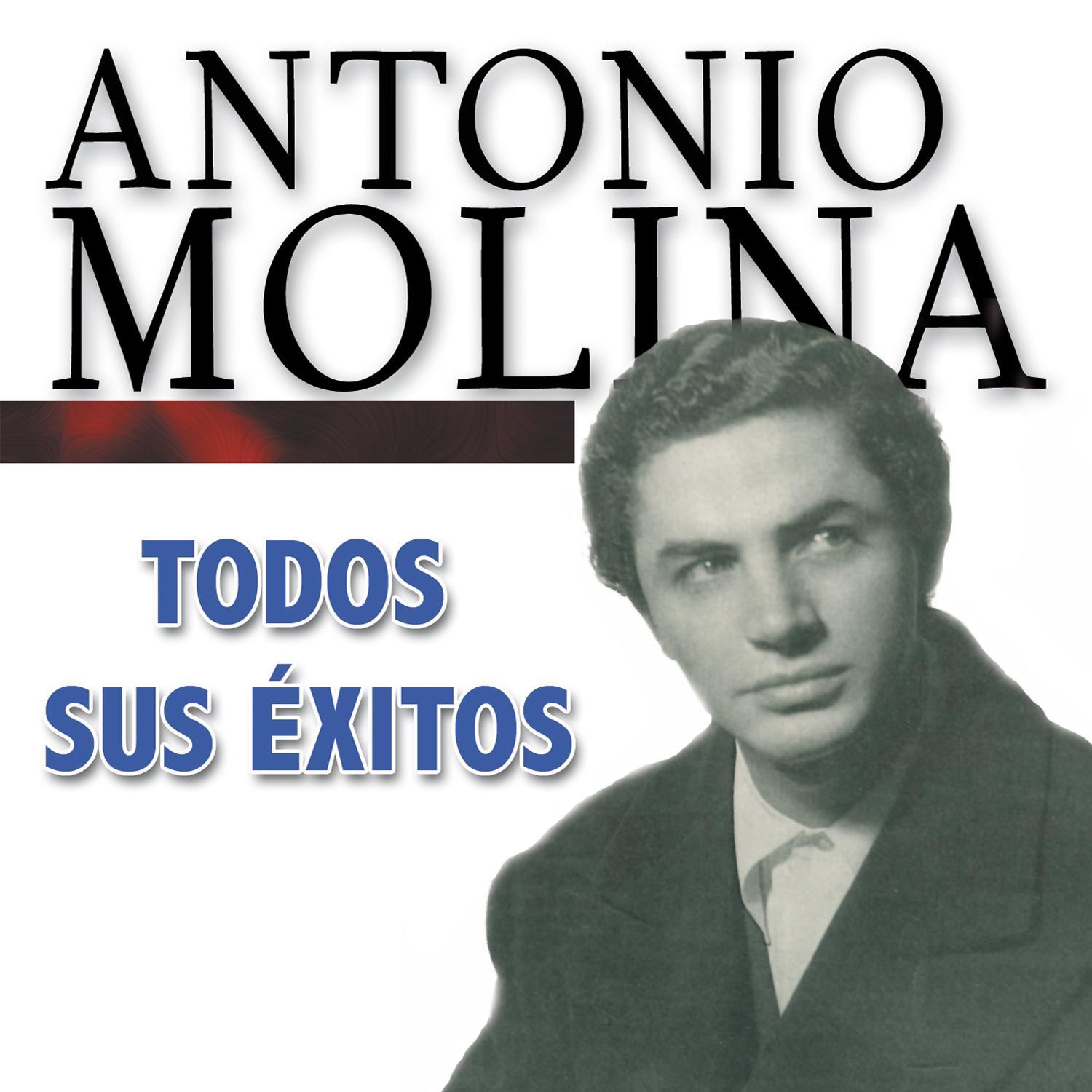 Todos Sus Éxitos: Spanish Flamenco