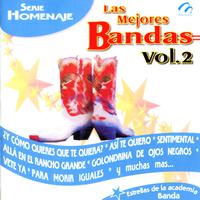 Puras Bandas - Te Reto A Que Me Olvides (karaoke)