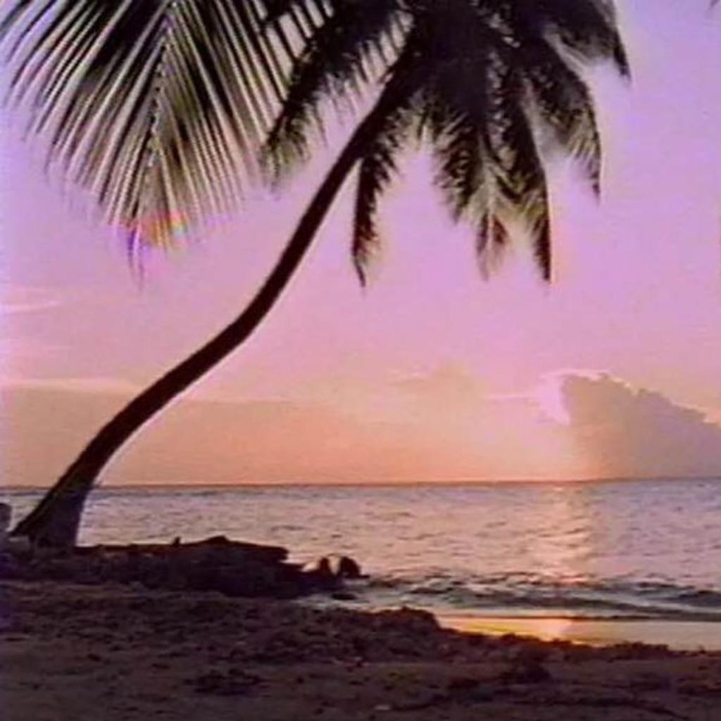 蒸汽波(vaporwave)