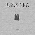 黑色塑料袋 (DJ默涵版)专辑