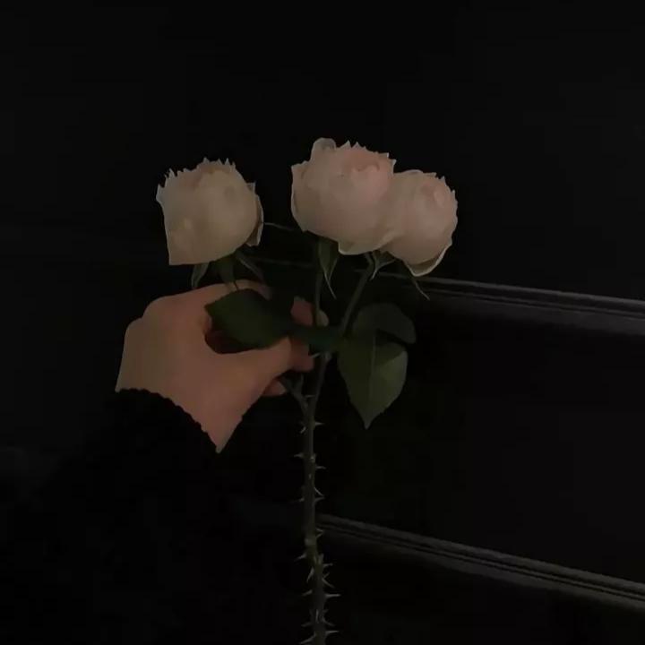 kutarman（热播版）