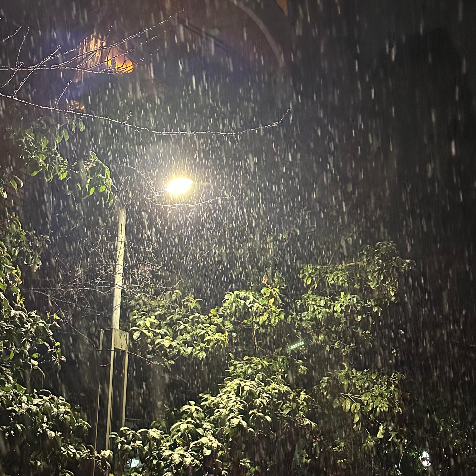 让我先说我爱你