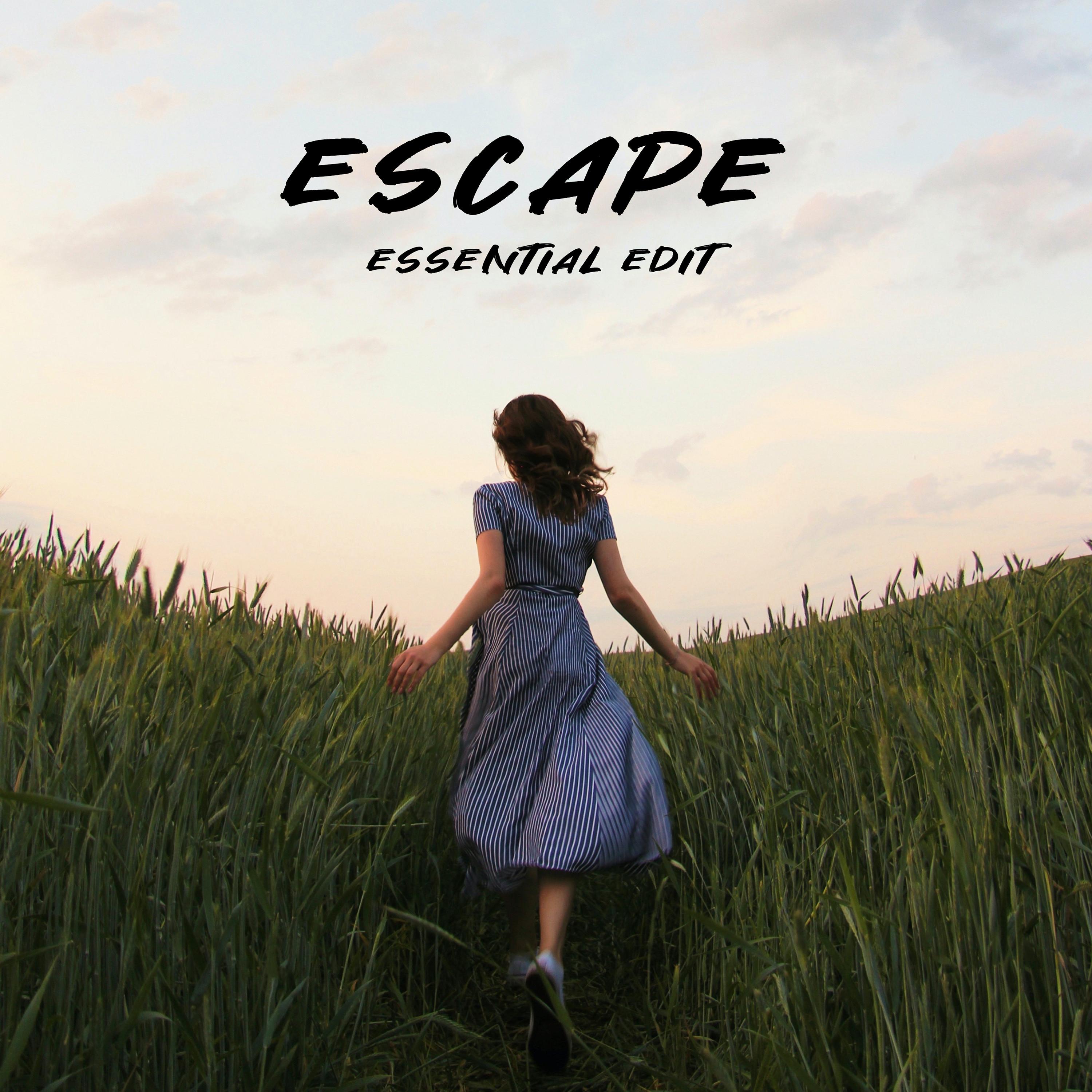Kelly Holiday, Ghost in the Shell - Escape (Essential edit)