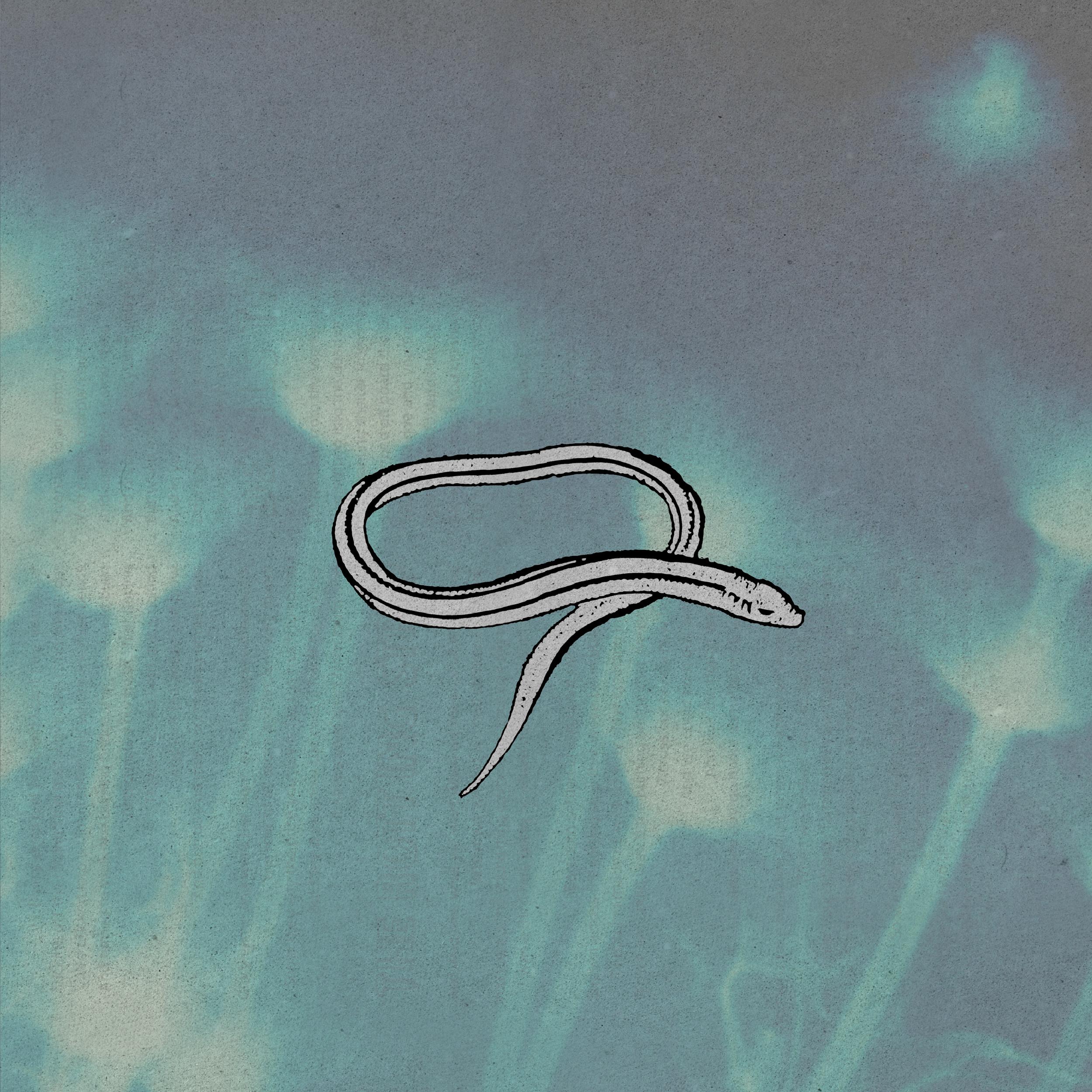 Bring On the Snakes (Deluxe Edition)