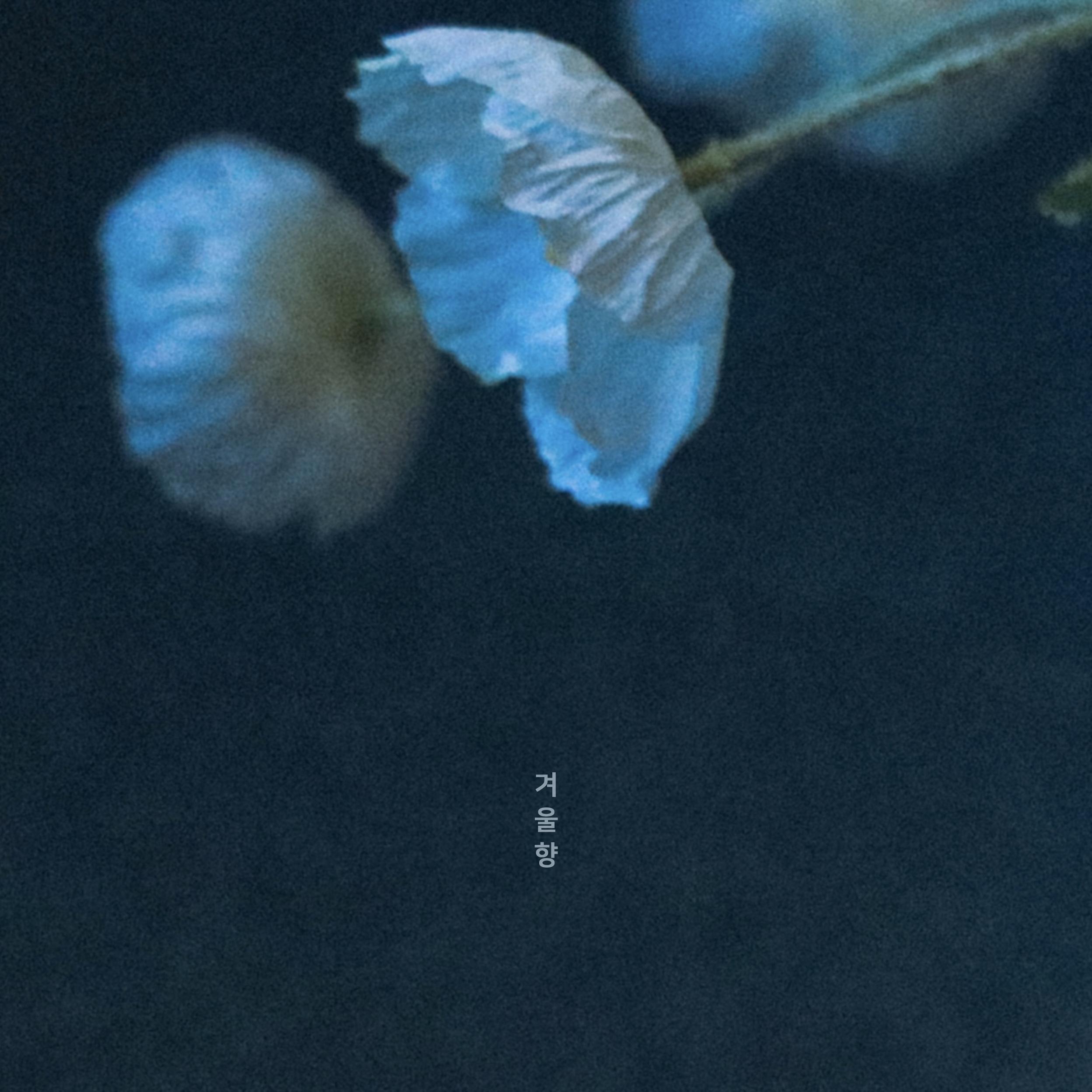 겨울향