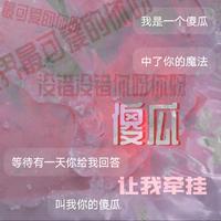 傻瓜 (原版立体声)