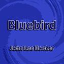 Bluebird